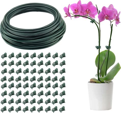 Cuttable plant .